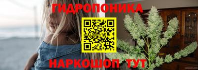 гидра Заводоуковск