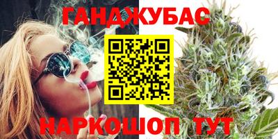 гидра Заводоуковск