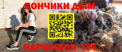 гидра Заводоуковск