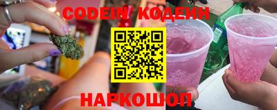 гидра Заводоуковск
