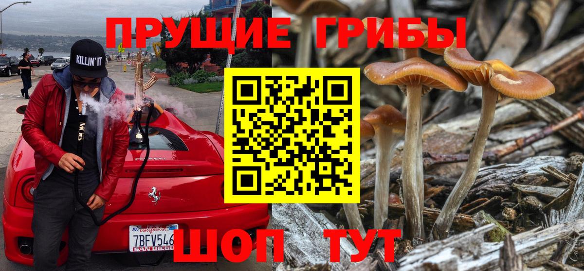 Лянтор  Галлюциногенные грибы мухоморы  Псилоцибиновые грибы GOLDEN TEACHER  цены   Вход с VPN 